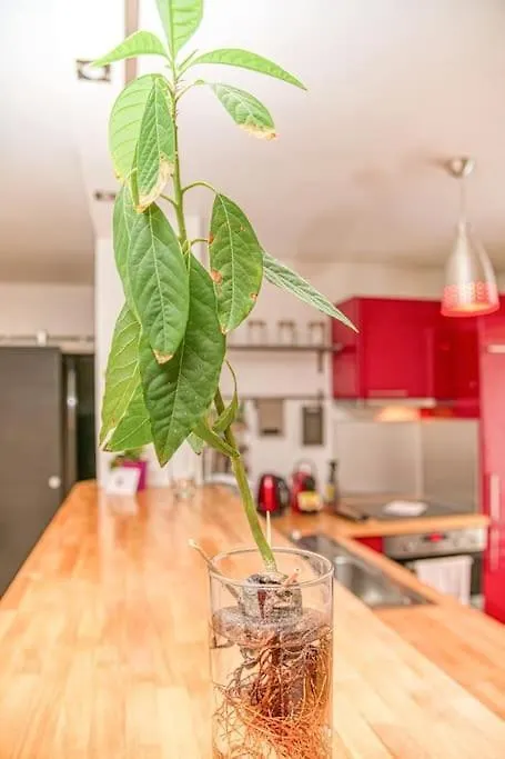 50M Gem - 400M Gare: Garage Prive, Terrasse, Wifi Apartman Grenoble